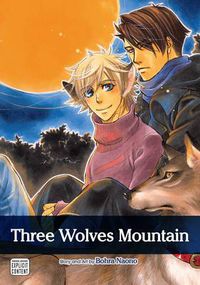 Cover image for Three Wolves Mountain
