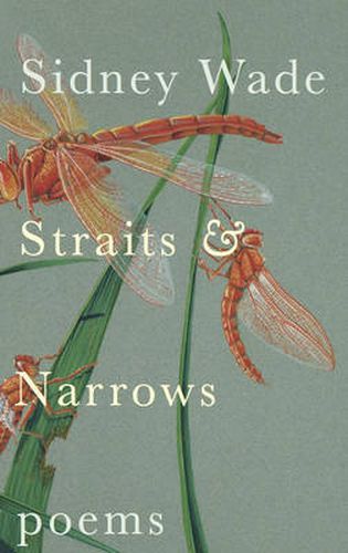 Cover image for Straits & Narrows: Poems