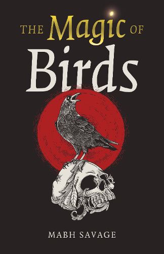 Cover image for Magic of Birds, The