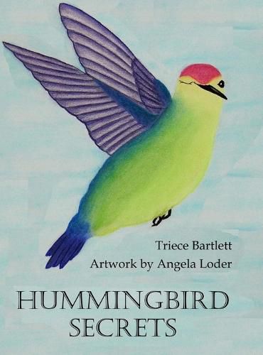 Cover image for Hummingbird Secrets