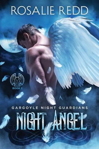 Cover image for Night Angel