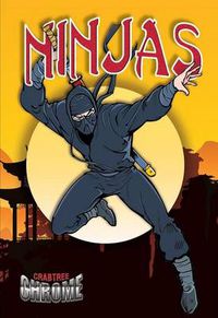 Cover image for Ninjas