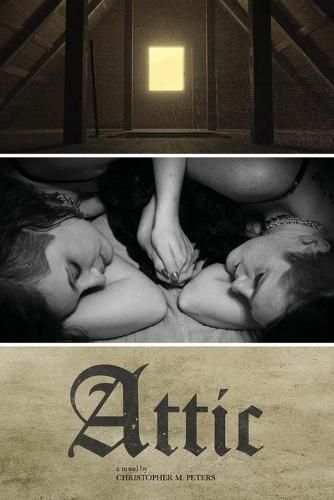 Cover image for Attic