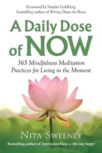 Cover image for A Daily Dose of Now