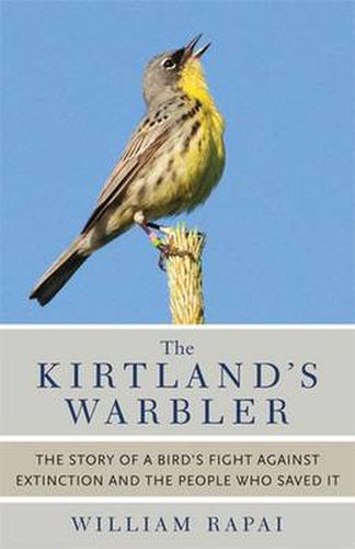 Cover image for The Kirtland's Warbler: The Story of a Bird's Fight Against Extinction and the People Who Saved It