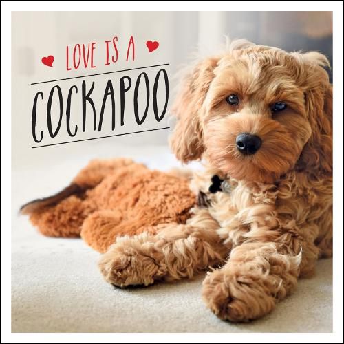 Cover image for Love is a Cockapoo: A Dog-Tastic Celebration of the World's Cutest Breed