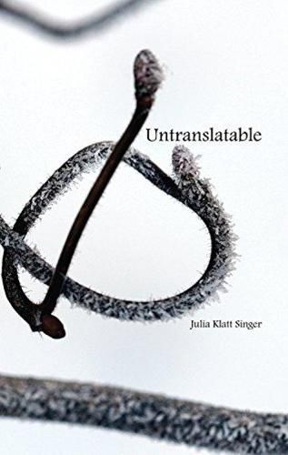 Cover image for Untranslatable