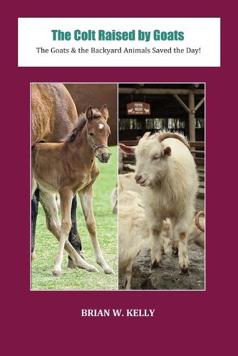 Cover image for The Colt Raised by Goats