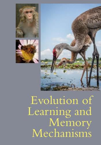 Cover image for Evolution of Learning and Memory Mechanisms