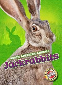 Cover image for Jackrabbits