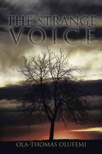 Cover image for The Strange Voice