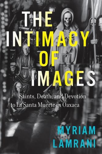 Cover image for The Intimacy of Images