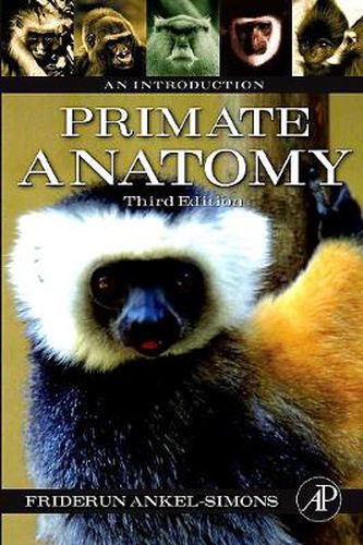 Cover image for Primate Anatomy: An Introduction