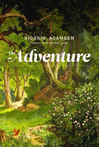 Cover image for The Adventure