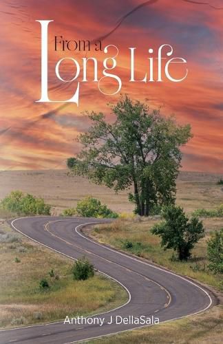 Cover image for From a Long Life