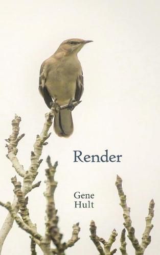 Cover image for Render