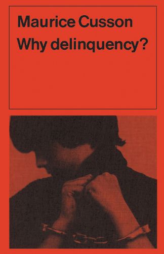 Cover image for Why Delinquency?