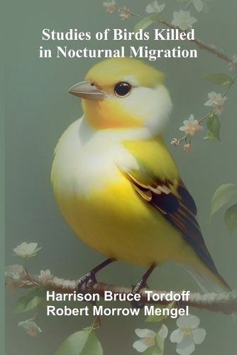 Cover image for Studies of Birds Killed in Nocturnal Migration