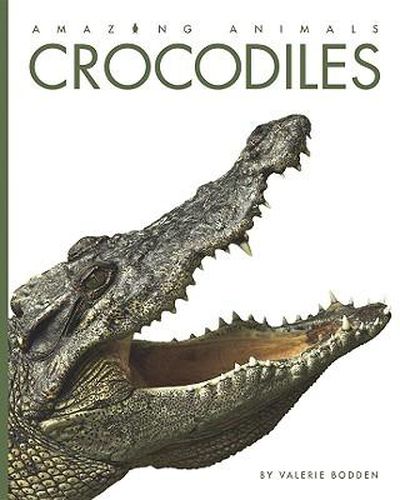 Cover image for Crocodiles