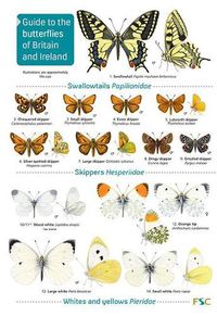 Cover image for Guide to the butterflies of Britain and Ireland