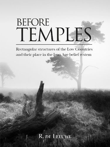 Cover image for Before Temples