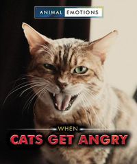 Cover image for When Cats Get Angry