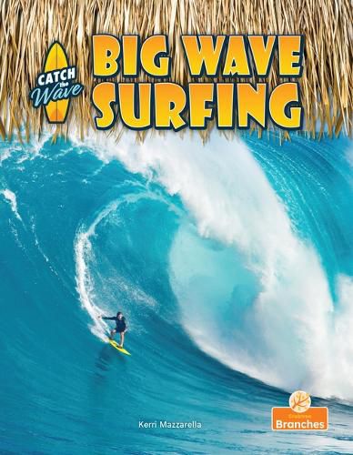 Cover image for Big Wave Surfing