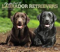 Cover image for Labrador Retrievers, for the Love of 2020 Deluxe Foil