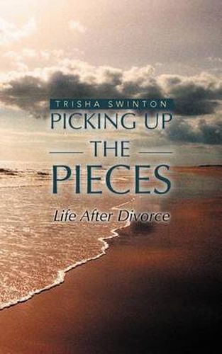 Cover image for Picking Up the Pieces