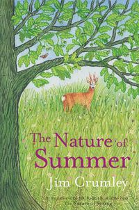 Cover image for The Nature of Summer