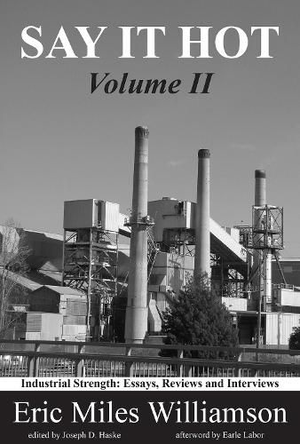 Say It Hot, Volume II: Industrial Strength: Essays on American Writers