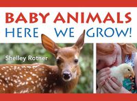 Cover image for Baby Animals!
