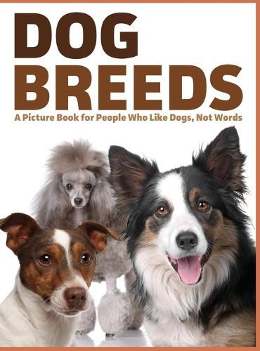 Cover image for Dog Breeds: A Picture Book for People Who Like Dogs, Not Words