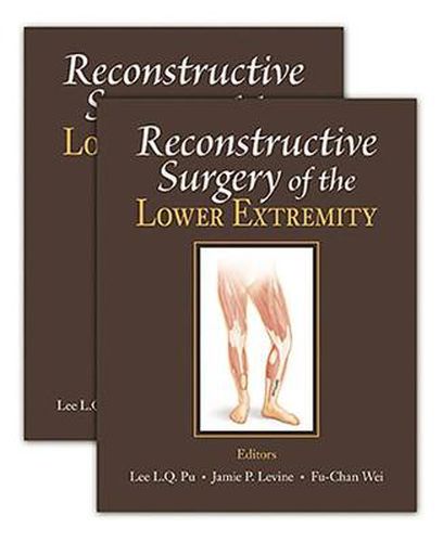 Cover image for Reconstructive Surgery of the Lower Extremity