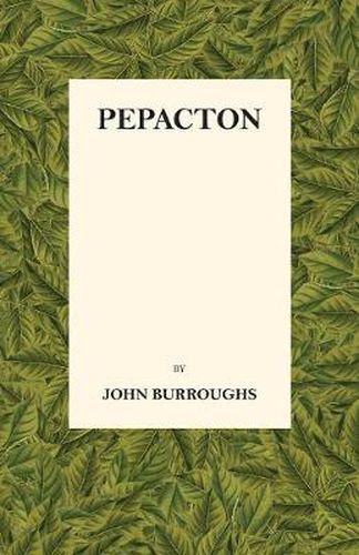 Cover image for Pepacton