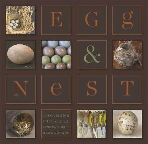 Cover image for Egg & Nest