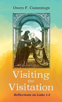 Cover image for Visiting the Visitation