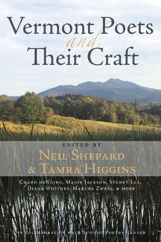 Cover image for Vermont Poets and Their Craft