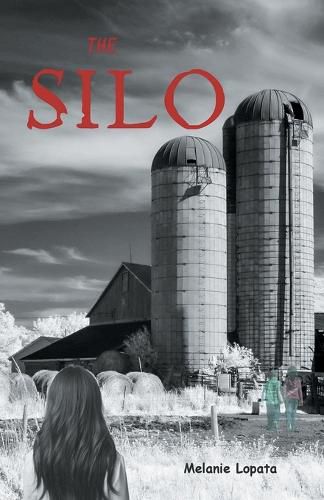 Cover image for The Silo