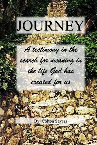Cover image for Journey A testimony in the search for meaning in the life God has created for us
