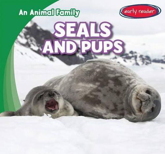 Cover image for Seals and Pups