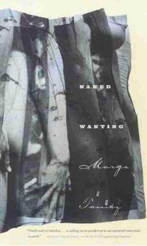 Cover image for NAKED WANTING