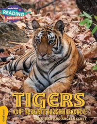 Cover image for Cambridge Reading Adventures Tigers of Ranthambore Gold Band