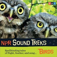 Cover image for NPR Sound Treks: Birds: Spellbinding Tales of Flight, Feather, and Song