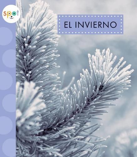 Cover image for El Invierno