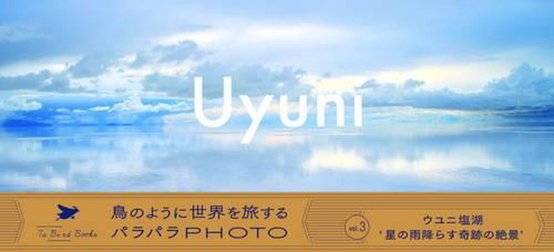 Cover image for Uyuni Photo Flip Book