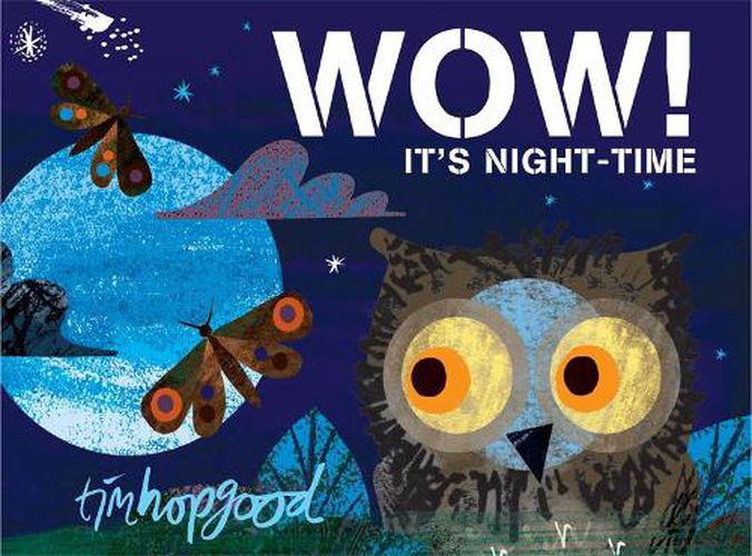 Cover image for WOW! It's Night-time: A first book of animals