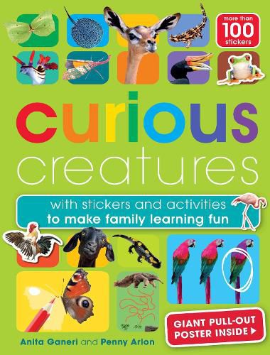 Cover image for Curious Creatures
