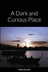 Cover image for A Dark and Curious Place