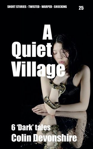 Cover image for A Quiet Village